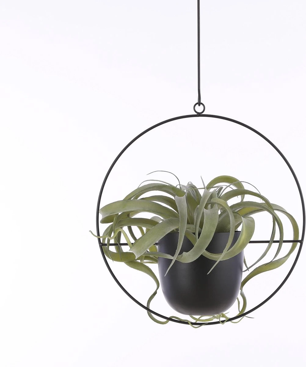 Mica Decorations Dexter Bloempot Hangend - L34 X B14 X H65 Cm - Zwart - Afbeelding 6