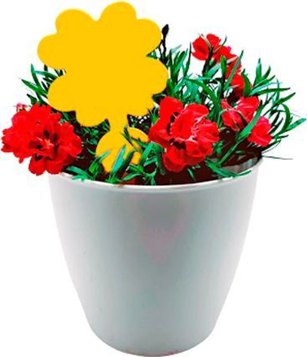 Plak Klavertjes Tegen Rouwvliegjes 48 Stuks - Rouwvliegjes Bestrijden - Varenrouwmug - Plakstrips - Vangkaarten - Vangplaten - Insectenval - Insectenvanger - Afbeelding 5