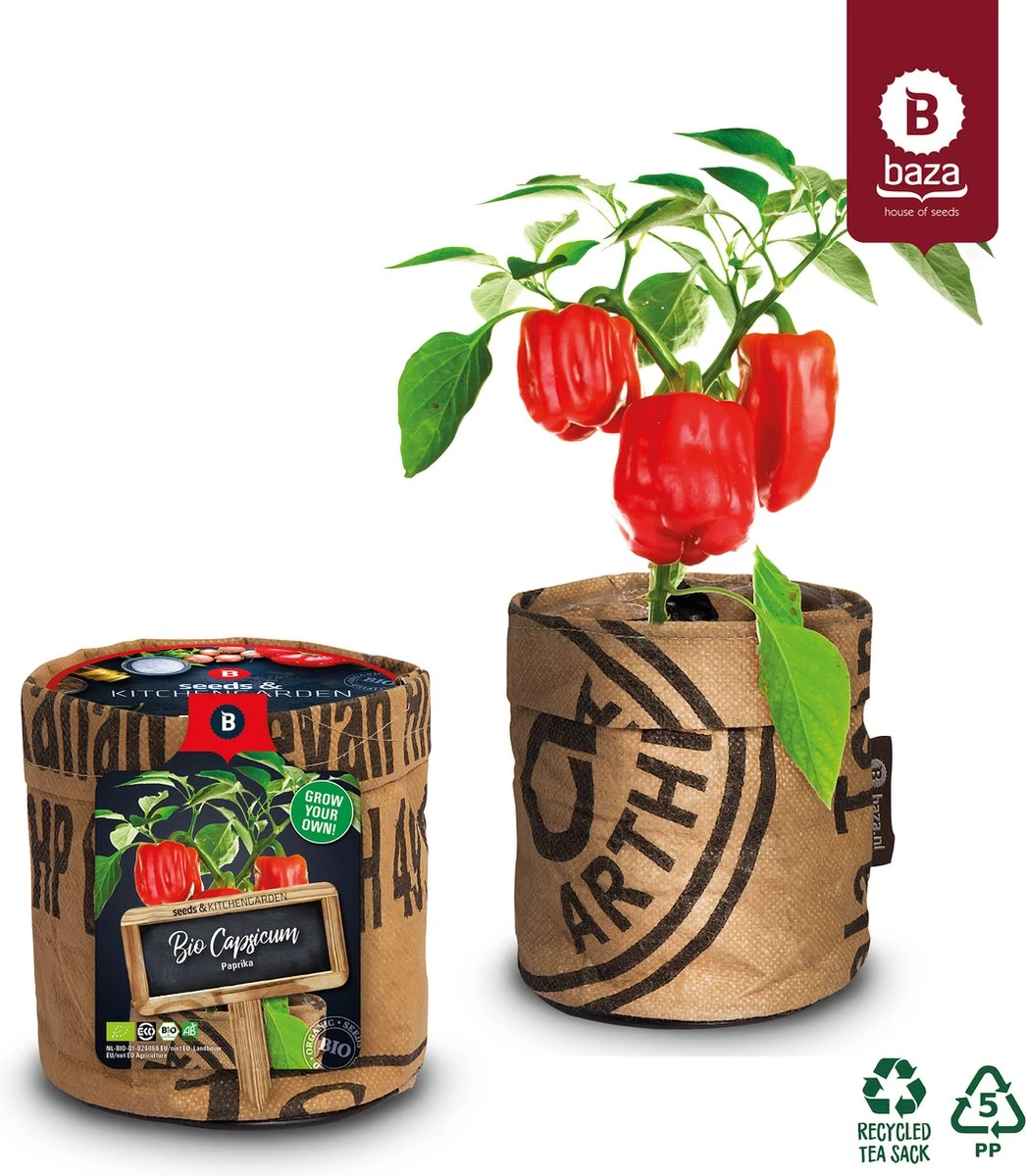 Van 32,95 Voor 24,95 3 Stuks Moestuin Kweekset Aardbei, Tomaat Paprika GRATIS VERZENDING - Afbeelding 6