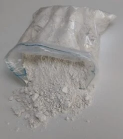 Diatomeeenaarde (100% Puur Wit) 1 Liter | Bedwantsen | Zilvervisjes | Mieren | Vlooien | , Etc.