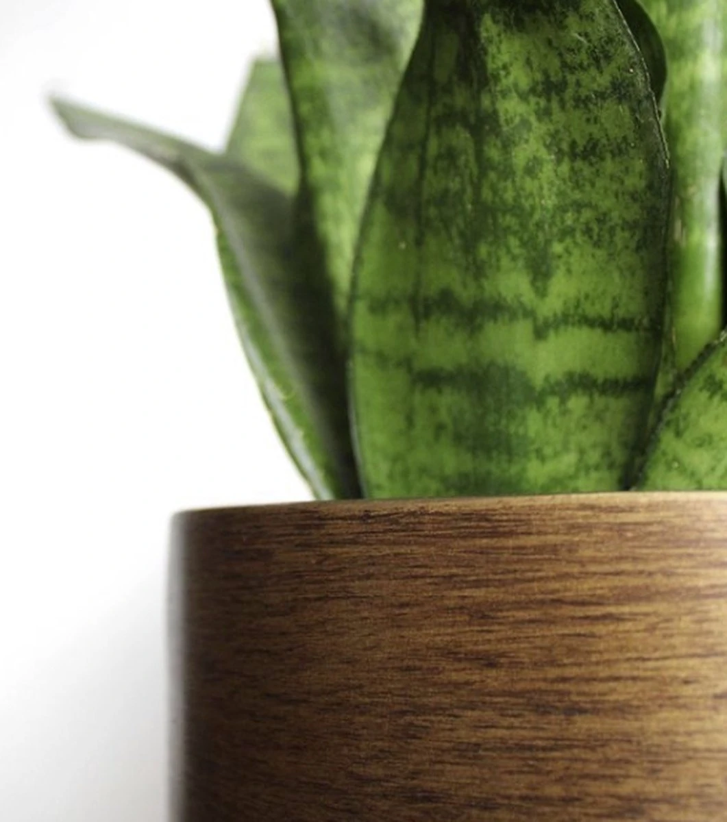 Capi Europe - Bloempot Bol Retro XL - 42x41 - Goud - Bloempot Voor Binnen - Opening ⌀36 - RTG933 - Afbeelding 6