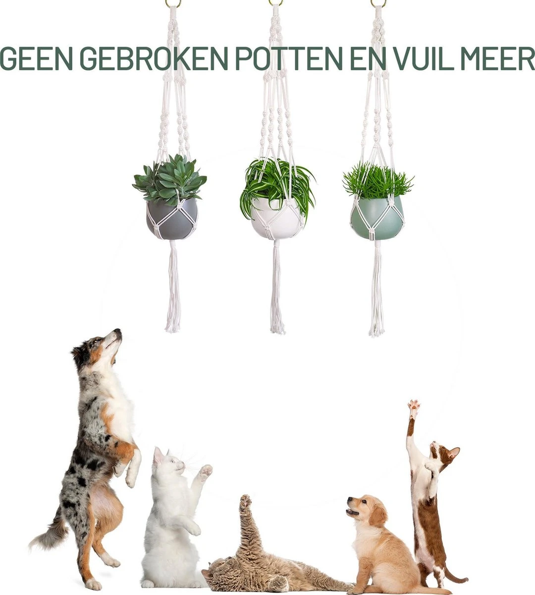 Gadgy Plantenhanger Macramé 3 Stuks - Luxe Gevlochten Touw Katoen - Plantenpot Ophangen - Hangpot - Afbeelding 7