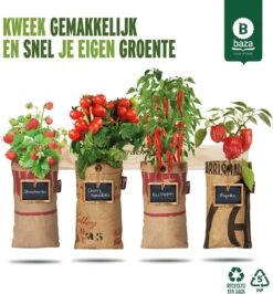4x Hangtuintjes Moestuin Kweekset Groenten Nu Met Gratis FSC Houten Hangrekje!!
