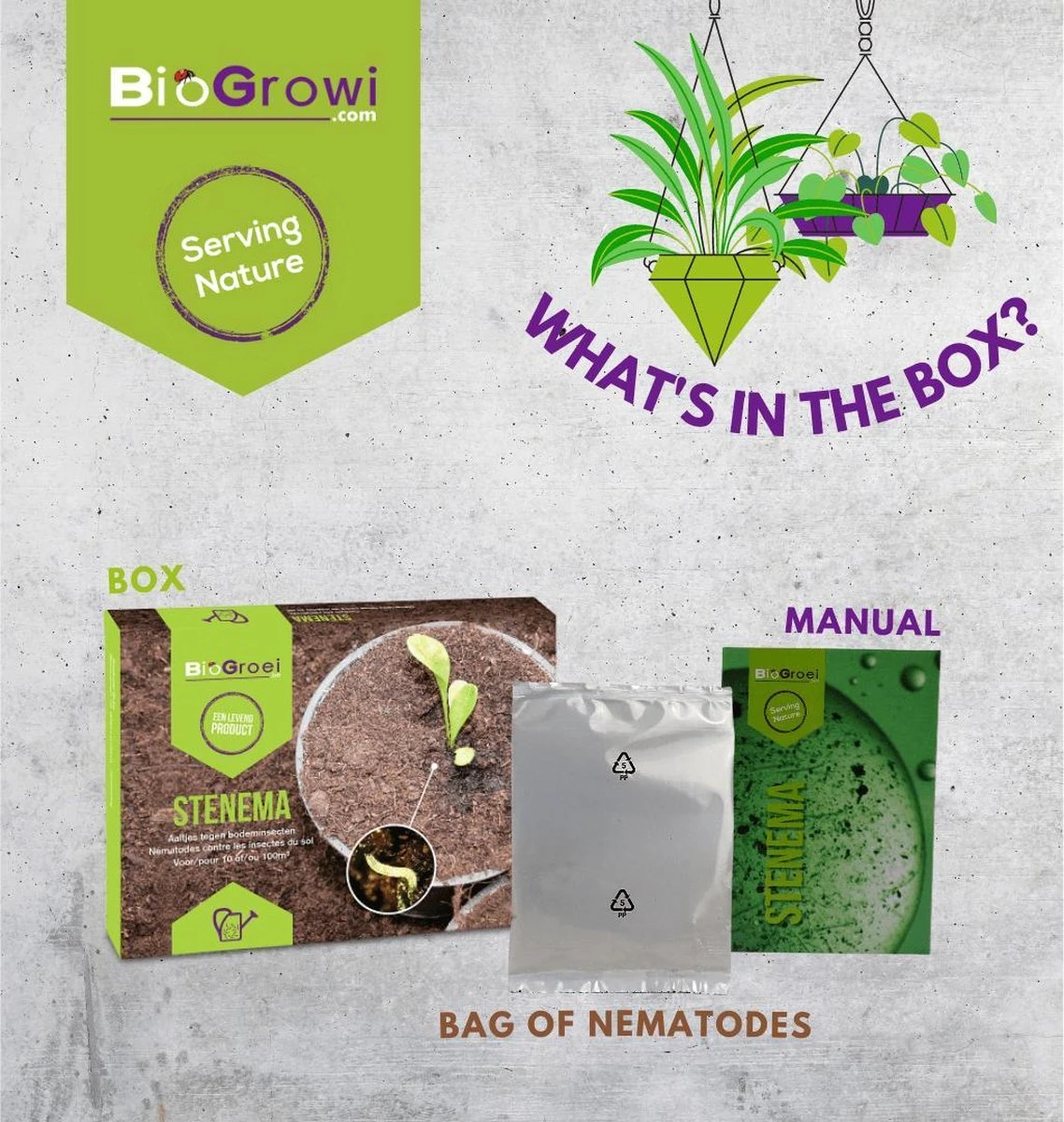 Aaltjes Tegen Rouwvliegjes | Stenema 10m² | Rouwvliegen Bestrijden - Afbeelding 4