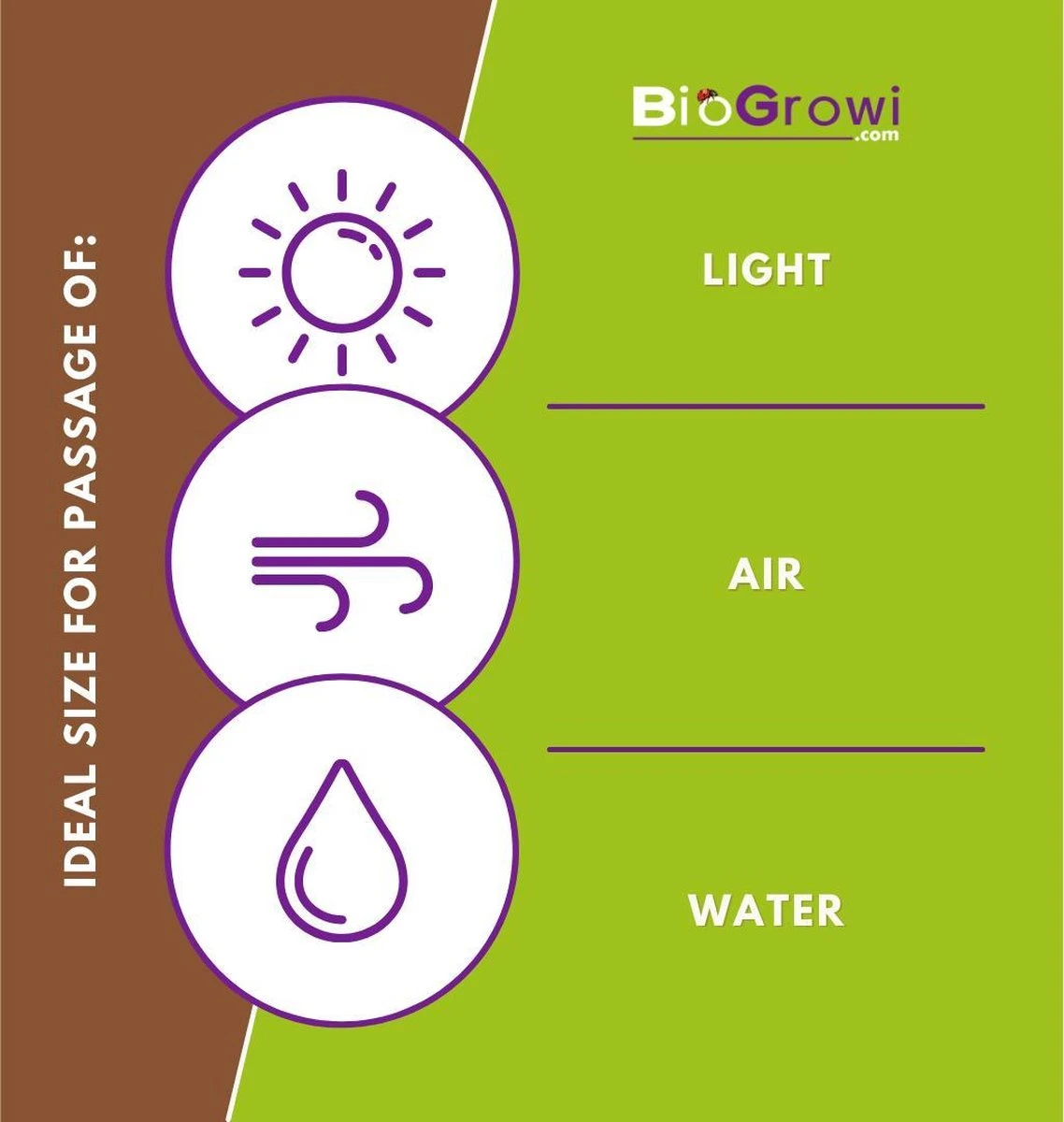 Biogroei Nettect - Insectennet - Insectengaas Tegen Koolvliegen En Andere - 210 Cmx450 Cm - Afbeelding 3