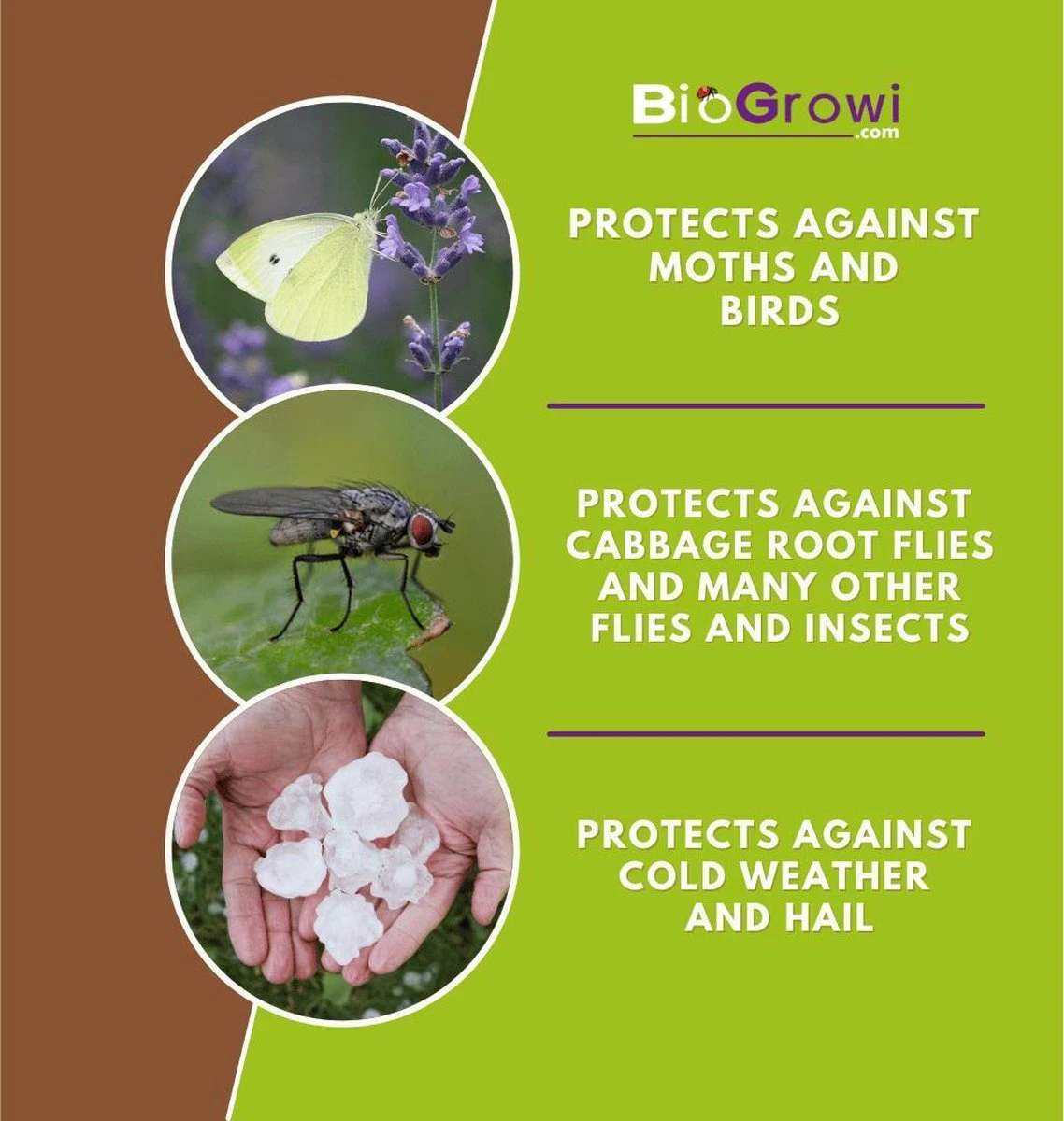 Biogroei Nettect - Insectennet - Insectengaas Tegen Koolvliegen En Andere - 210 Cmx450 Cm - Afbeelding 7