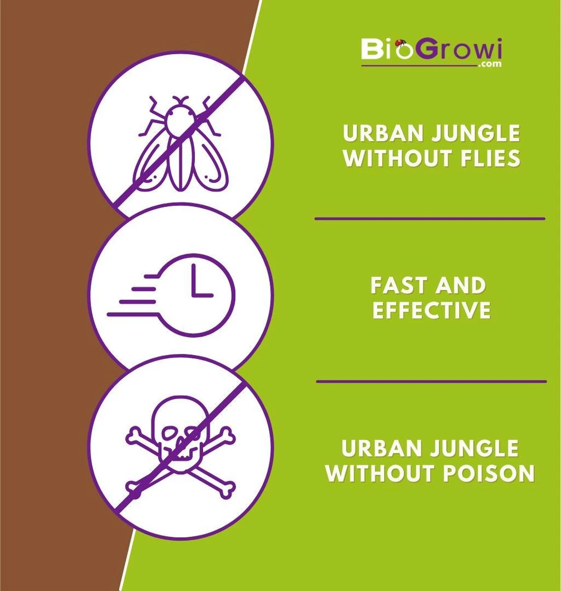 Aaltjes Tegen Rouwvliegjes | Stenema 10m² | Rouwvliegen Bestrijden - Afbeelding 5