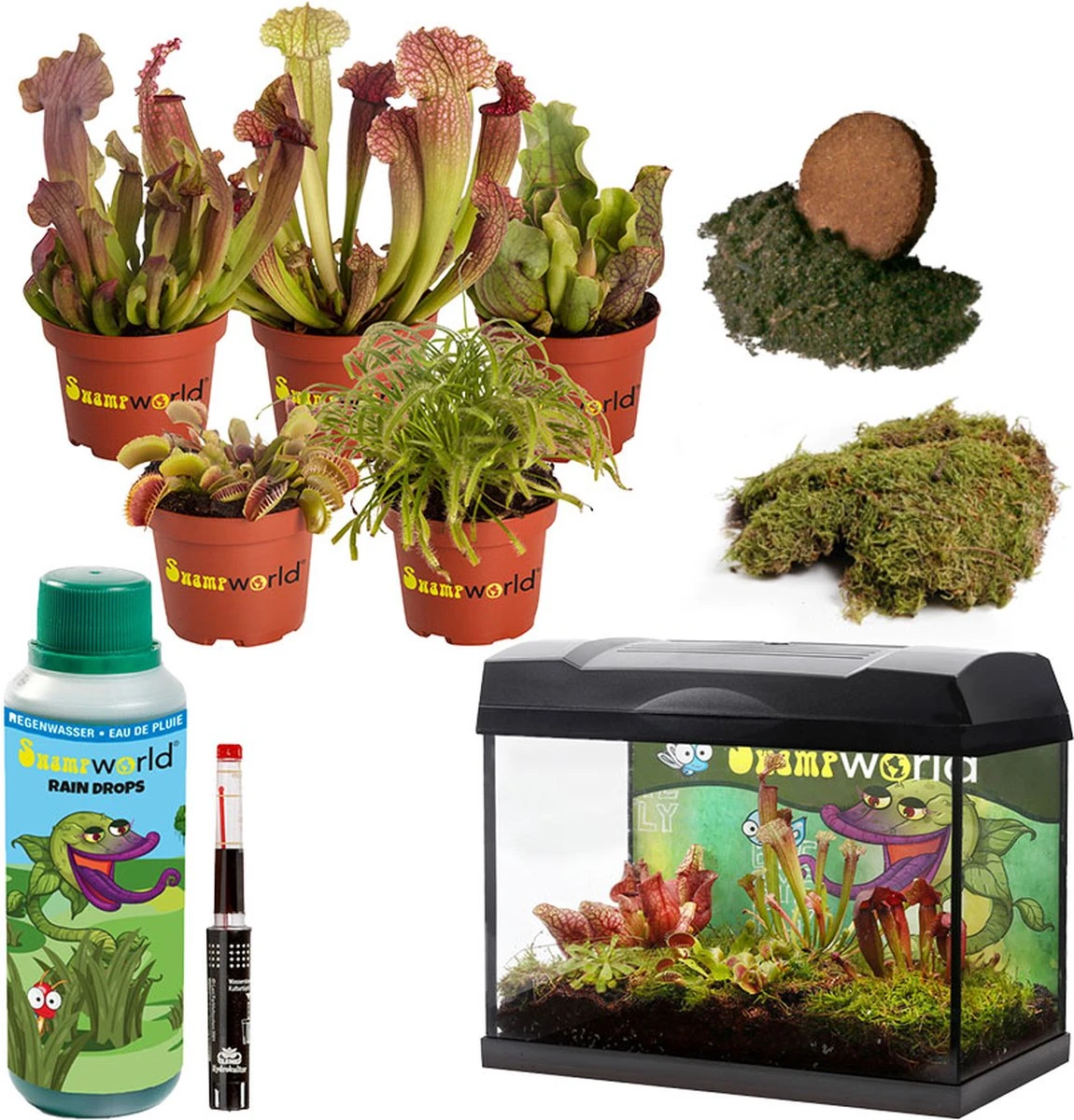 Swampworld Terrarium XL Met Lamp - Vleesetende Planten Terrarium - 5 Verschillende Vleesetende Plant Soorten - L39xB21xH31 Cm - Afbeelding 5