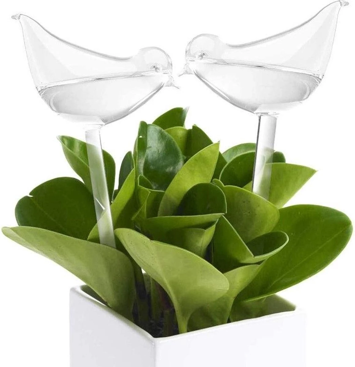 Luxe Planten Waterdruppelaar - Waterbol Vogel - Watergever - Watergeefsysteem Voor Planten & Bloemen - 200ML - Set Van 2 - Afbeelding 3