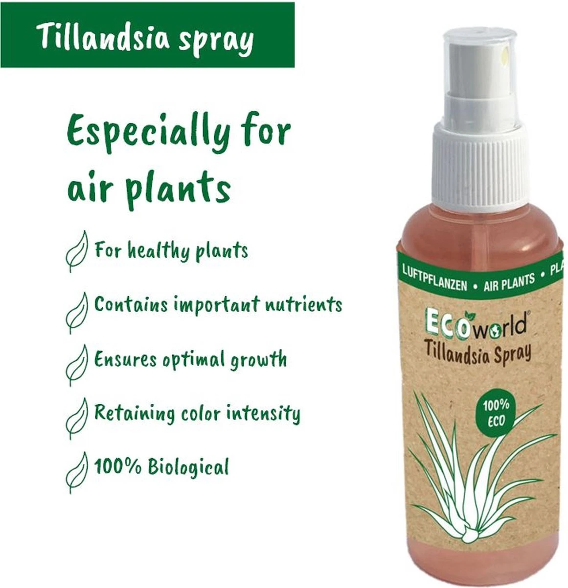 Ecoworld Luchtplantjes Spray - 125 Ml - Spray Voor Tillandsia Luchtplanten - 100% Biologische Airplant Verzorgingspray - Uit Eigen Kwekerij - Afbeelding 3