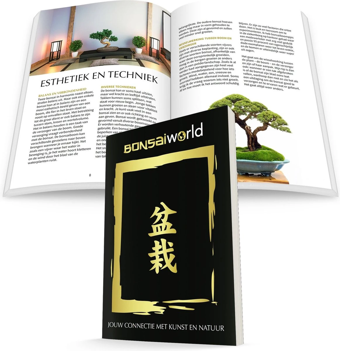 Bonsaiworld Bonsai Boompje - 8 Jaar Oud - Hoogte 25-30 Cm + Bonsai Verzorgingsboekje - Afbeelding 9