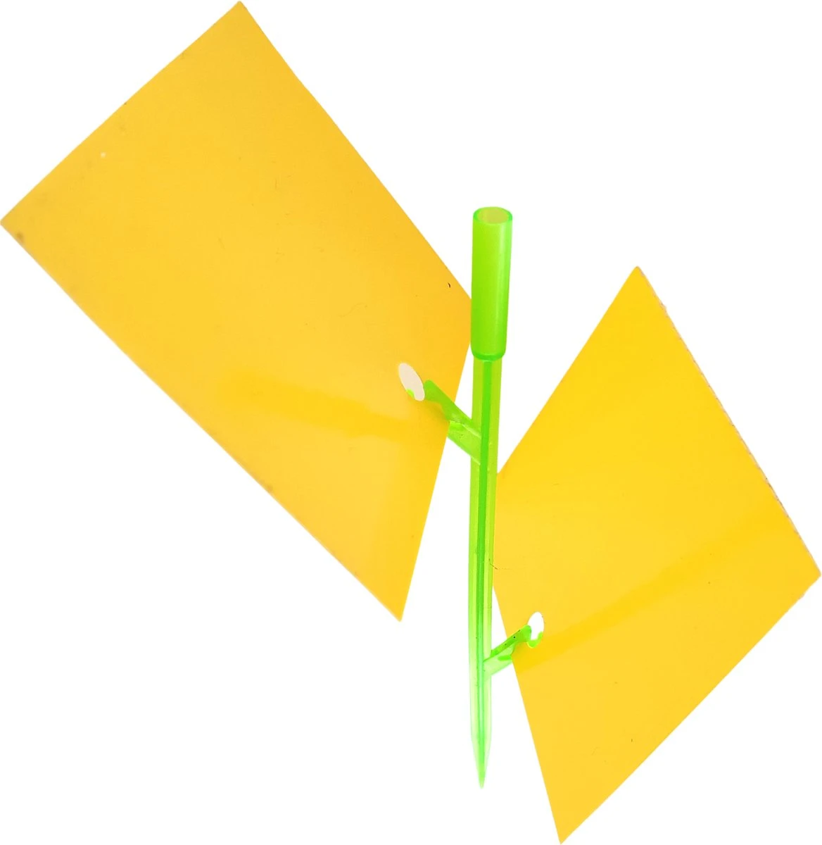 Aniway® - Fruitvliegjes Vanger - 40 Stuks (20 X 2) - Rouwvliegjes Bestrijden - Rouwvliegjes - Sterke Kleefkracht - Voor Buiten En Binnen - Afbeelding 9