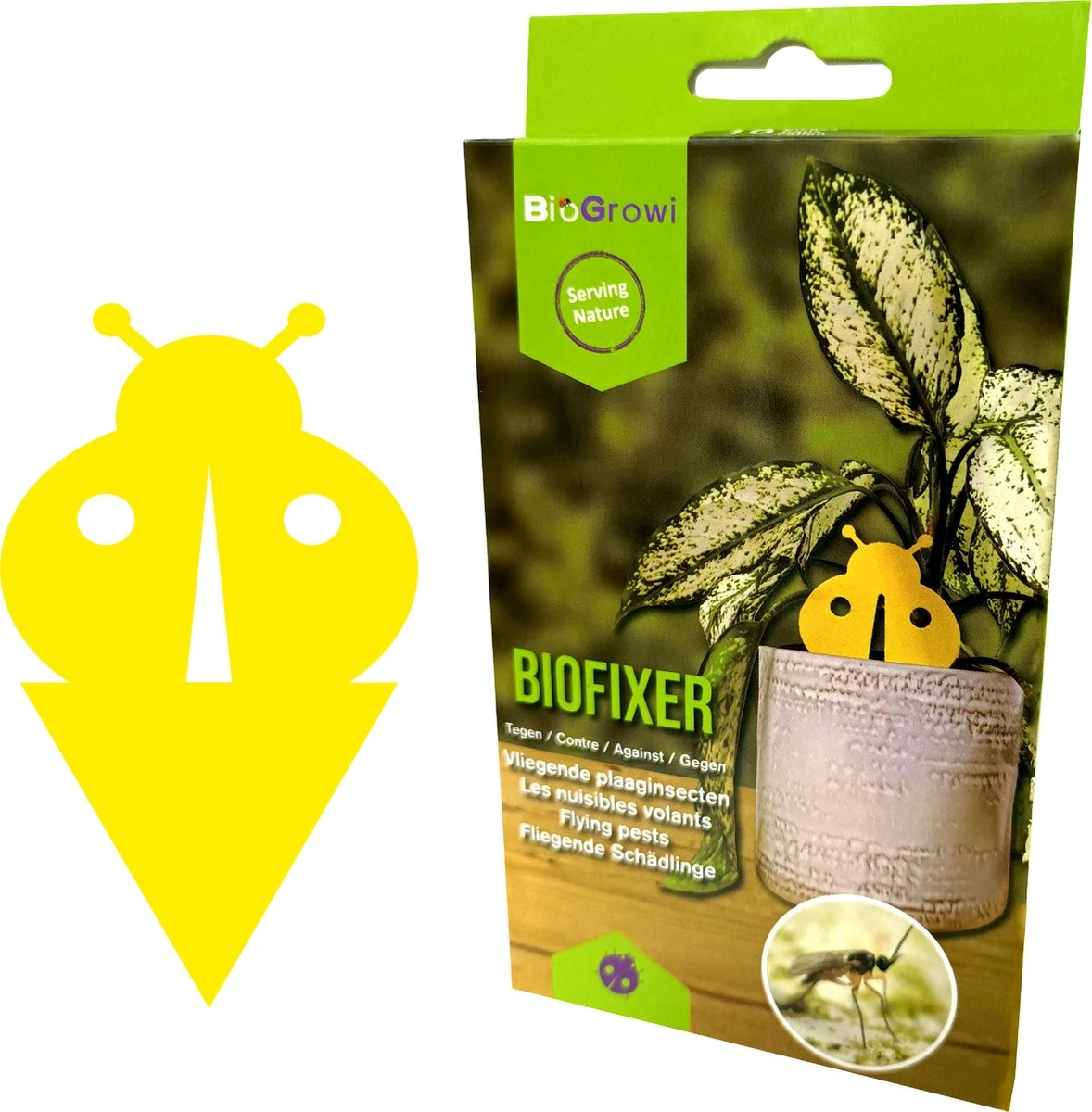 Biofixer - 10 Vangkaartjes - Rouwvliegjes Bestrijden - Varenrouwmug Bestrijden - Vangplaatjes Tegen Rouwvliegjes - Plakstrips - Vangplaten