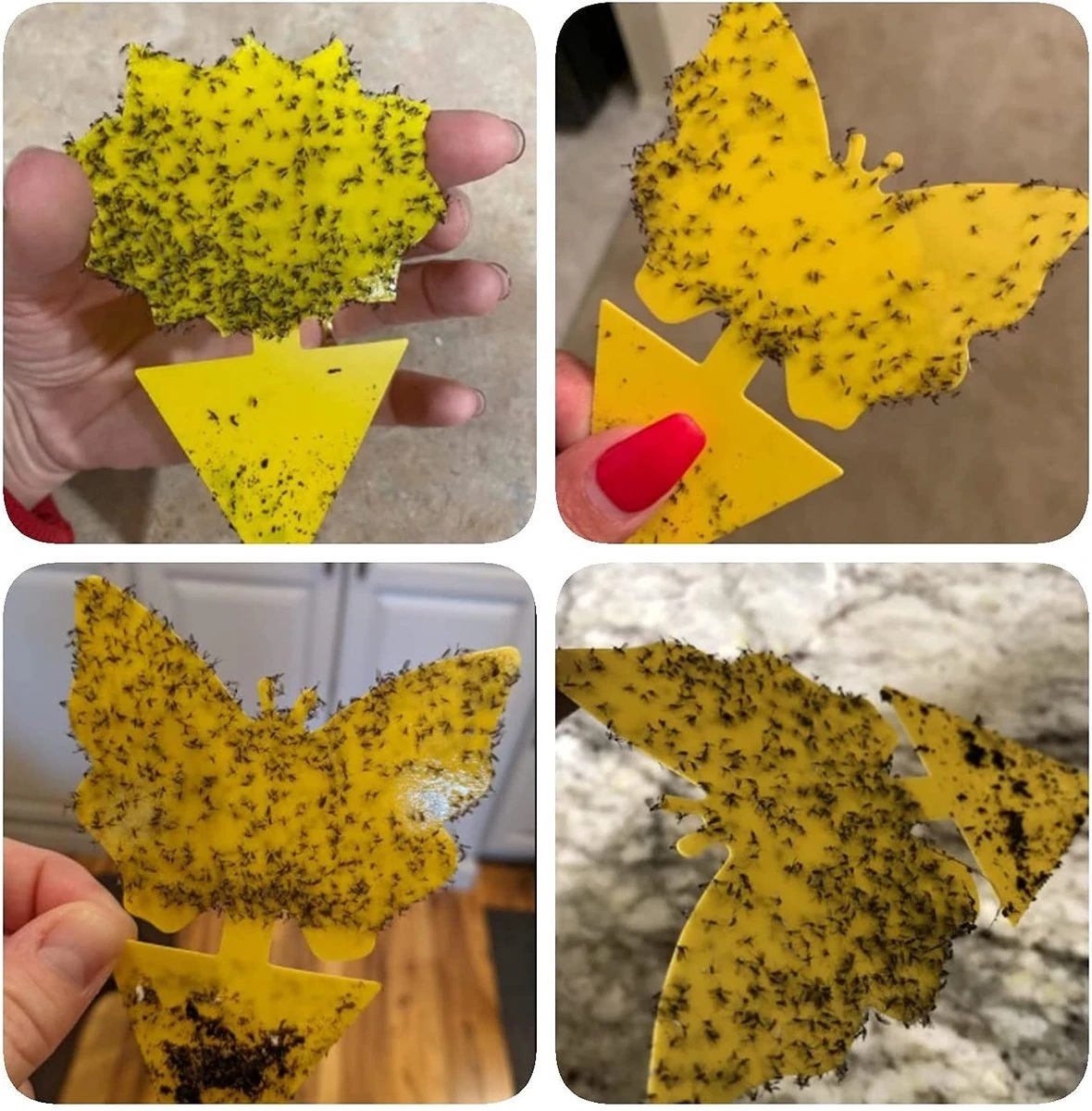 Vliegenvanger Set 24 Stuks - Fruitvliegjes Vanger - Rouwvliegjes Bestrijden - Insectenvanger - Plakstrips Dubbelzijdig - Afbeelding 7