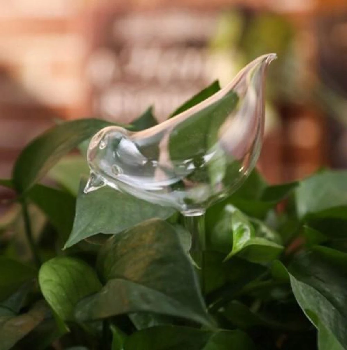 Waterdruppelaar Planten - Vorm Vogel - Set Van 3 Kunststof Druppelaars - 25cm Lengte - Genoeg Water Tijdens Je Vakantie - Afbeelding 3