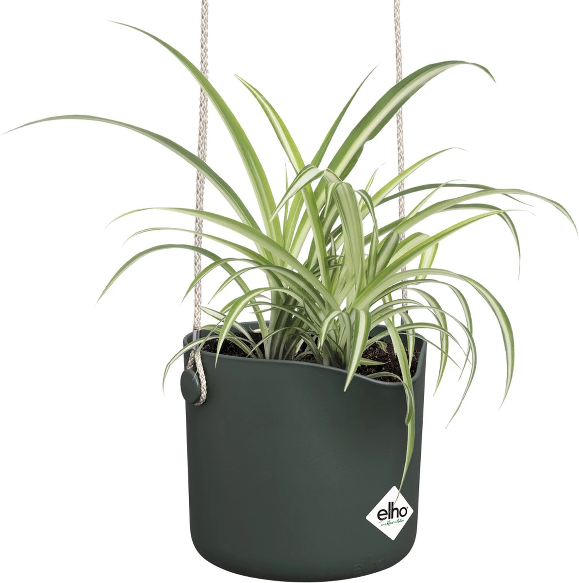 Elho B.for Swing 18 Hangpot - Bloempot Voor Binnen - Ø 18.0 X H 16.5 Cm - Groen/Blad Groen - Afbeelding 3