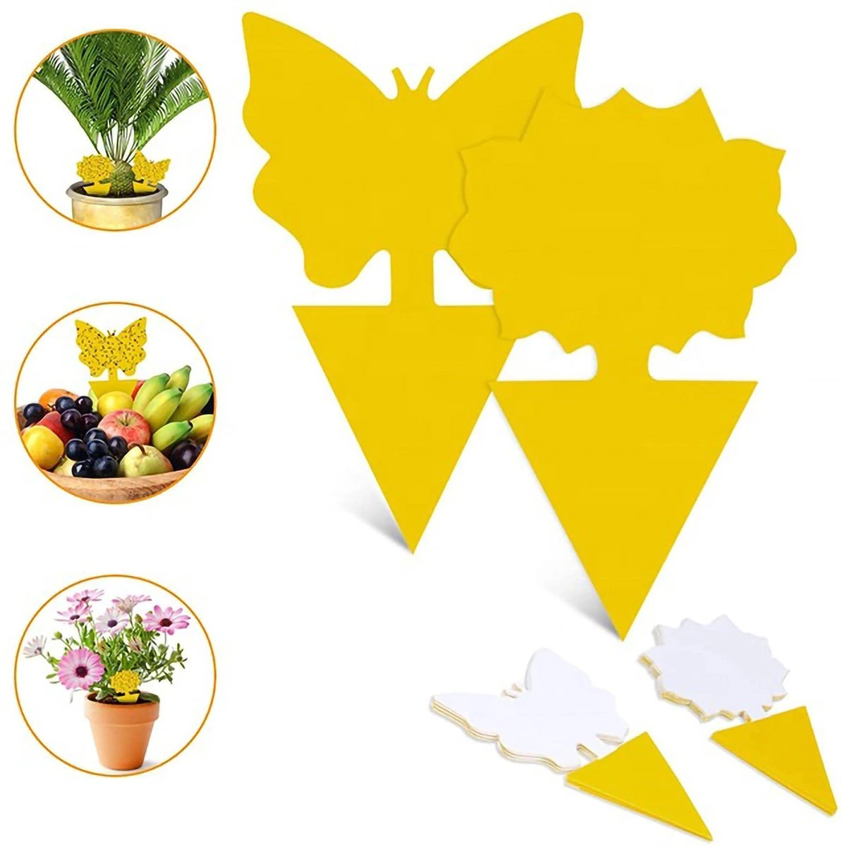 Merkloos Rouwvliegjes Bestrijden - Fruitvliegjes Vanger - Vliegenvanger - 24 Stuks - Afbeelding 5