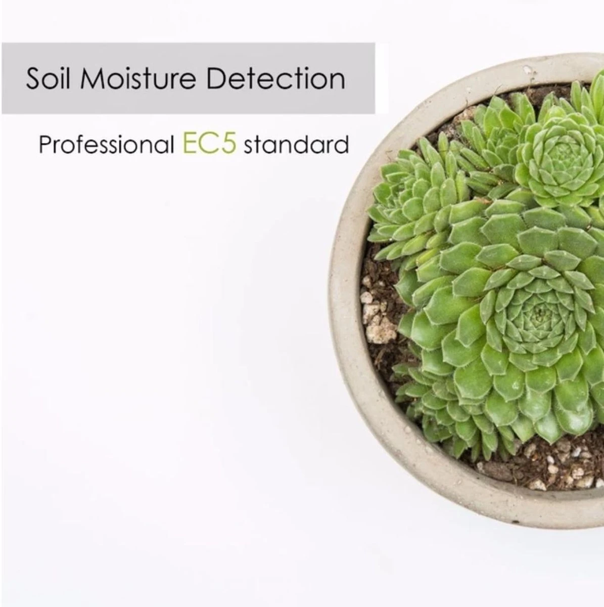 ON Home | Smart Grondmeter | Bodemvochtmeter | Plant Monitor | Bluetooth | Smart Plant Sensor | Hygrometer - Afbeelding 4