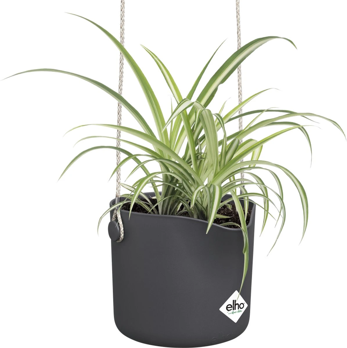 Elho B.for Swing 18 Hangpot - Bloempot Voor Binnen - Ø 18.0 X H 16.5 Cm - Zwart/Antraciet - Afbeelding 10