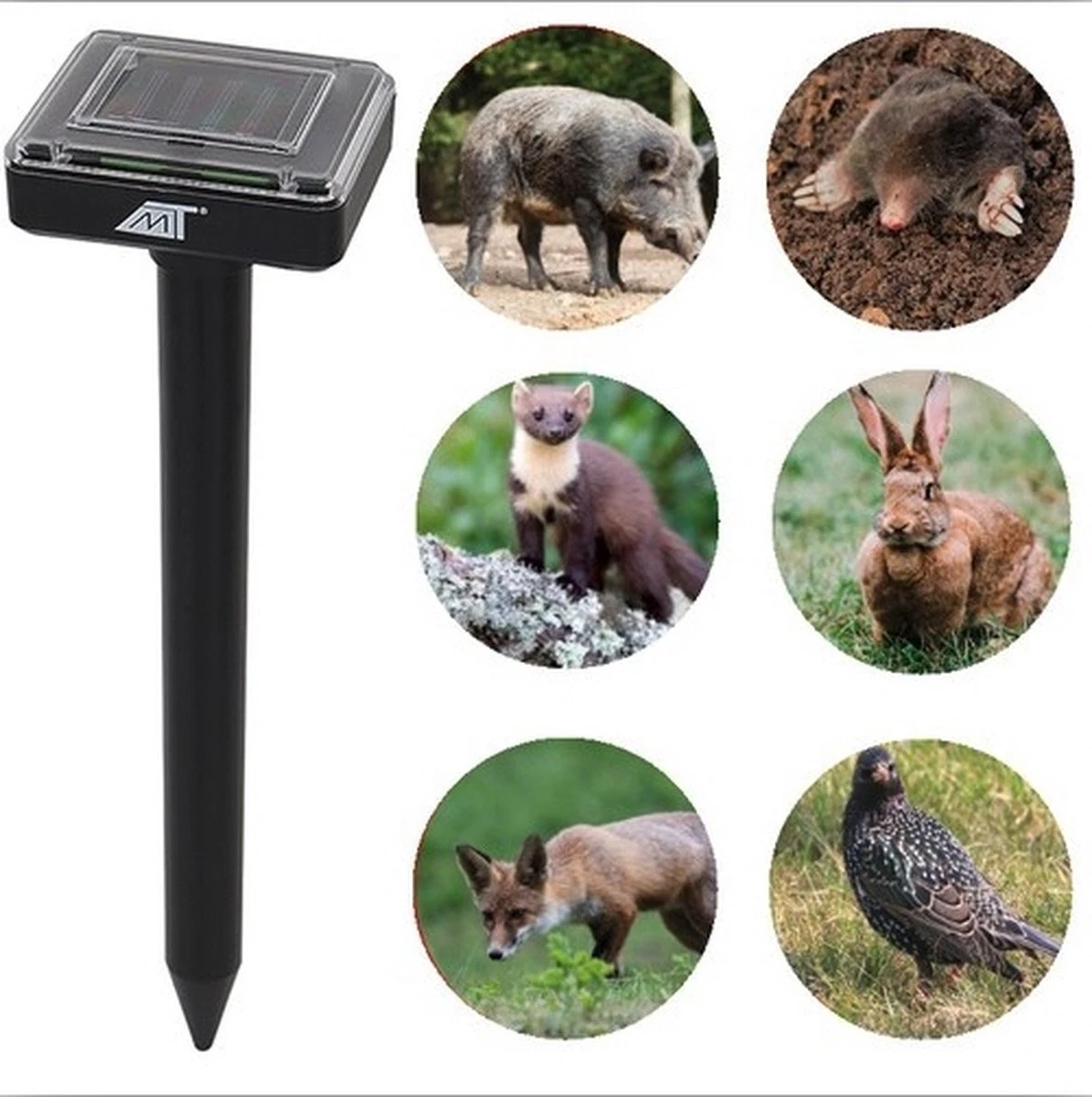 YUNICS ® Ultrasone Kattenverjager - Marterverjager - Oplaadbaar Door Zonne-energie En Micro USB. Incl. Micro USB Kabel - Afbeelding 4