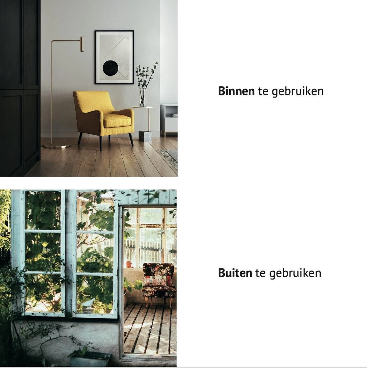 PROTEKX Muizenval - 6 Stuks - Voor Binnen En Buiten - Extra Sterk - Niet Giftig - Hygiënisch - Hoge Vangkans - Ongedierte Verjager - Afbeelding 5