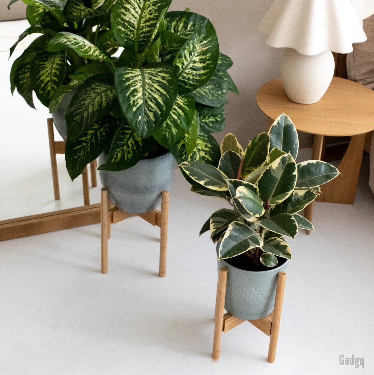 Gadgy Bamboe Plantenstandaard 2 St - Plantentafel - Plantentafeltje Voor Binnen - Plantenrek - Uitschuifbaar - Hout - Ø 20 Tot 30 Cm - Afbeelding 8