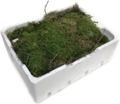 Merkloos 4 Lagen Vers Mos (Platmos) - Leuk Voor Decoratie - In Kist (40x30cm)