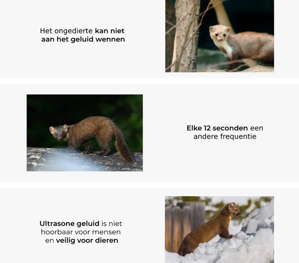 All-in-1 Marterverjager Pakket - Bescherm Je Auto, Woning Of Camper Tegen Steenmarters, Marters, Muizen En Ongedierte - RV Solutions® - Afbeelding 4