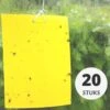 Gele Lijmvallen 20 Stuks Vangplaten, Vangkaarten Tegen Insecten Zoals Rouwvliegjes, Trips, Witte Vlieg, Bladluis En Mineervliegen Geschikt Voor Binnen, Buiten, Kweektent Of Kas