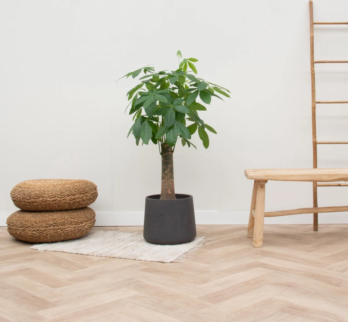 Wout L - Afbeelding 4