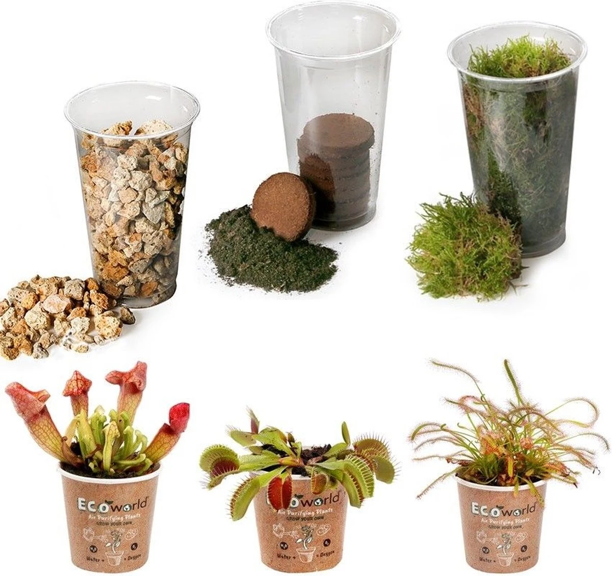 Ecoworld Vleesetende Planten Mix - DIY Ecosysteem Plant Set - 3 Vleesetende Planten - Met Terrarium Plant Venus Vliegenval Zonnedauw En Trompetbekerplant - Inclusief Substraat - Grond - Mos