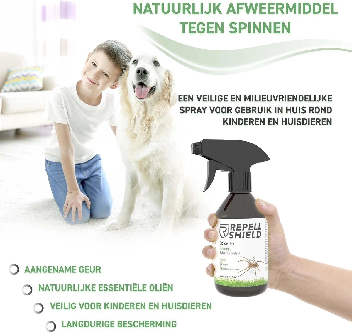 RepellShield Spinnen Bestrijden - Ongediertewering | Diervriendelijk Spinnen Verjagen Met Geur, Anti-Spinnen Spray - 250ml - Afbeelding 4