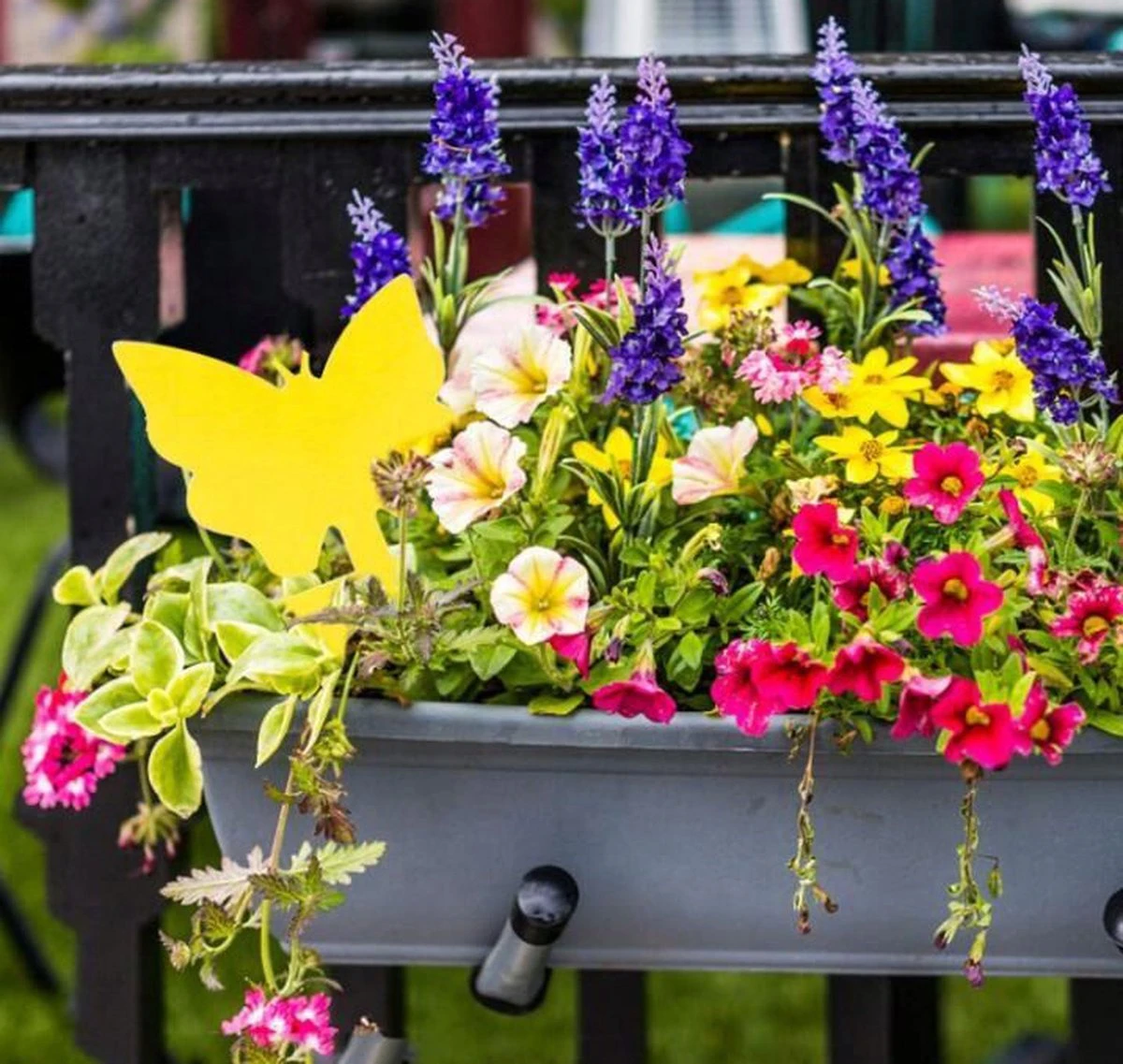 Merkloos Rouwvliegjes Bestrijden - Fruitvliegjes - Vliegenvanger - Plakplaatjes - 20 Stuks - Afbeelding 2