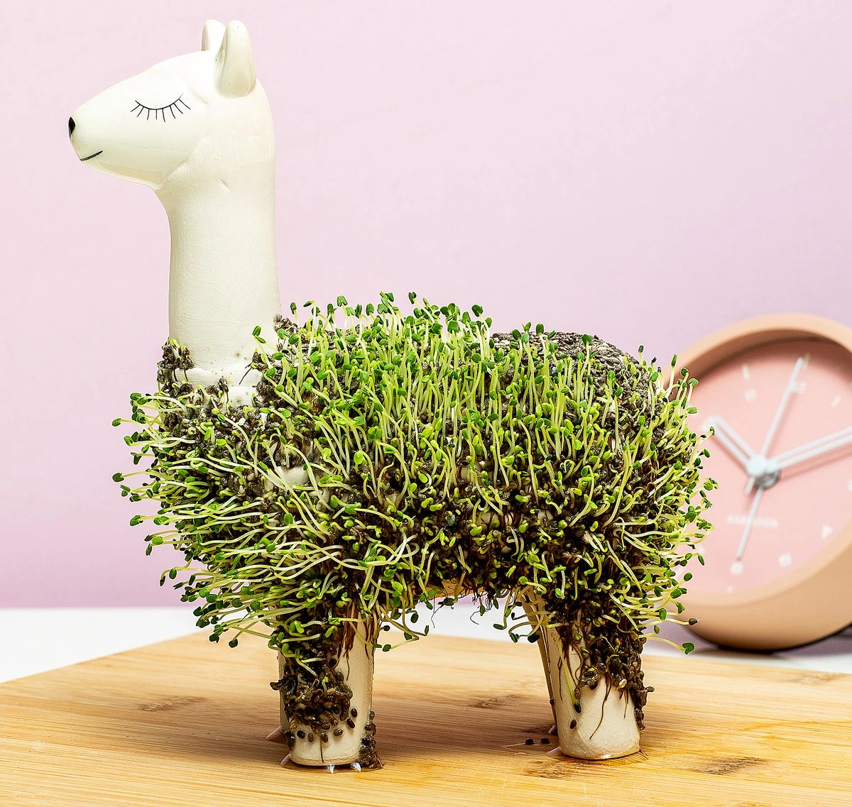 Gift Republic Lama Bloempot Met Zaadjes - Afbeelding 4