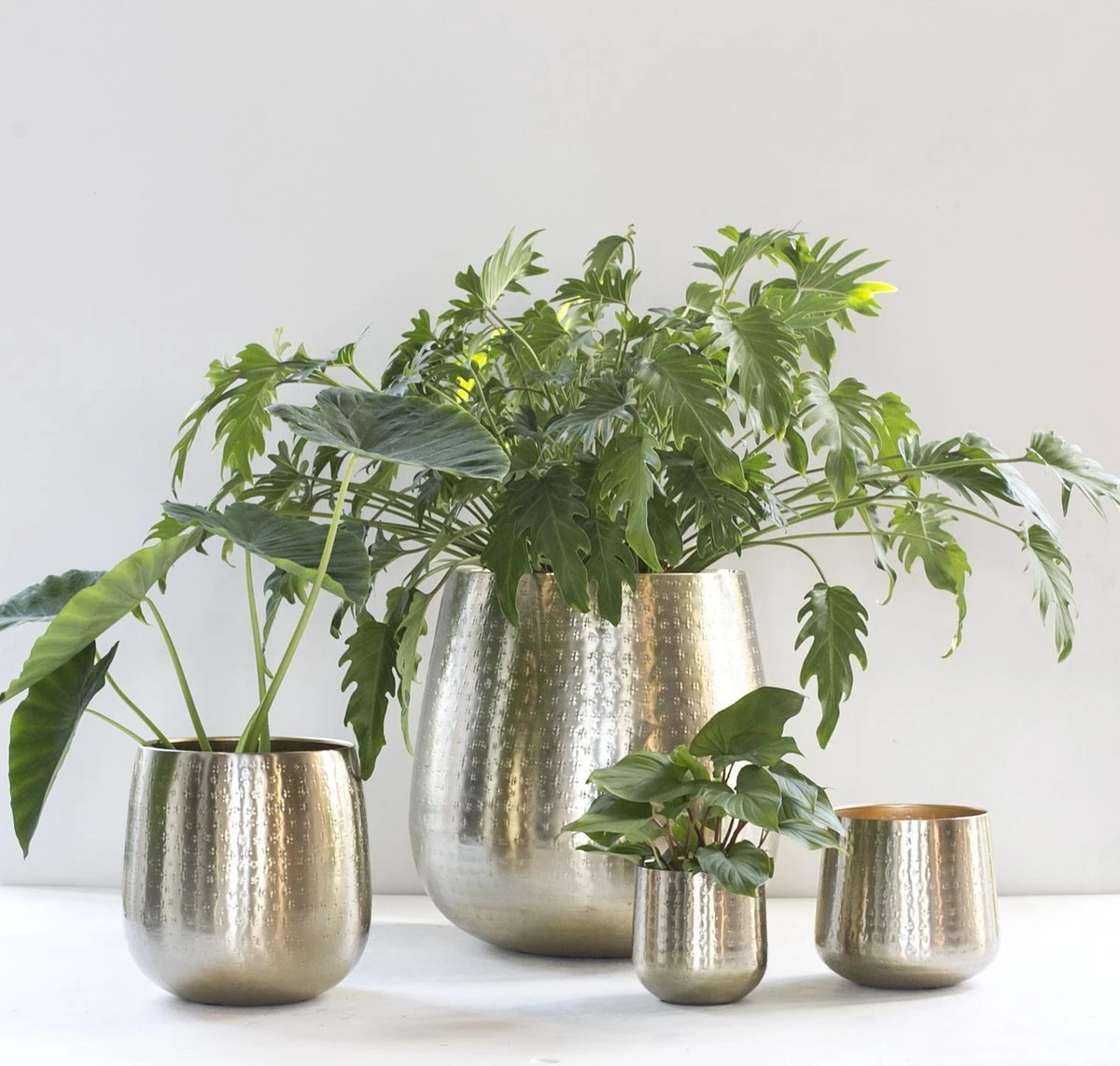 Gina Da - Bloempot - Karakter - Goud - Metaal - 15 Cm Hoog - Afbeelding 4