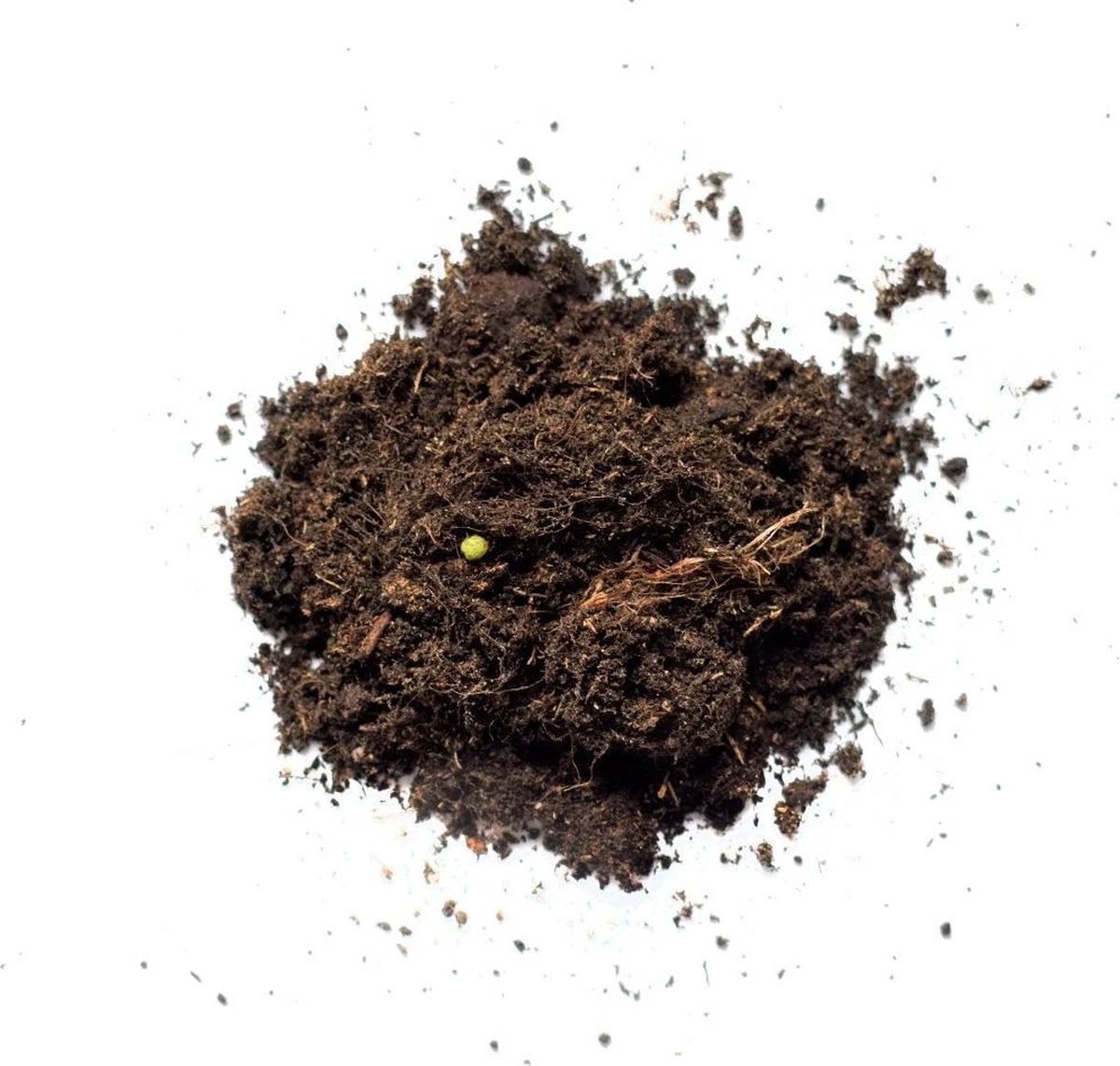 Pokon Kamerplanten Potgrond - 10l - Potgrond (kamerplant) - 6 Maanden Voeding - Afbeelding 6