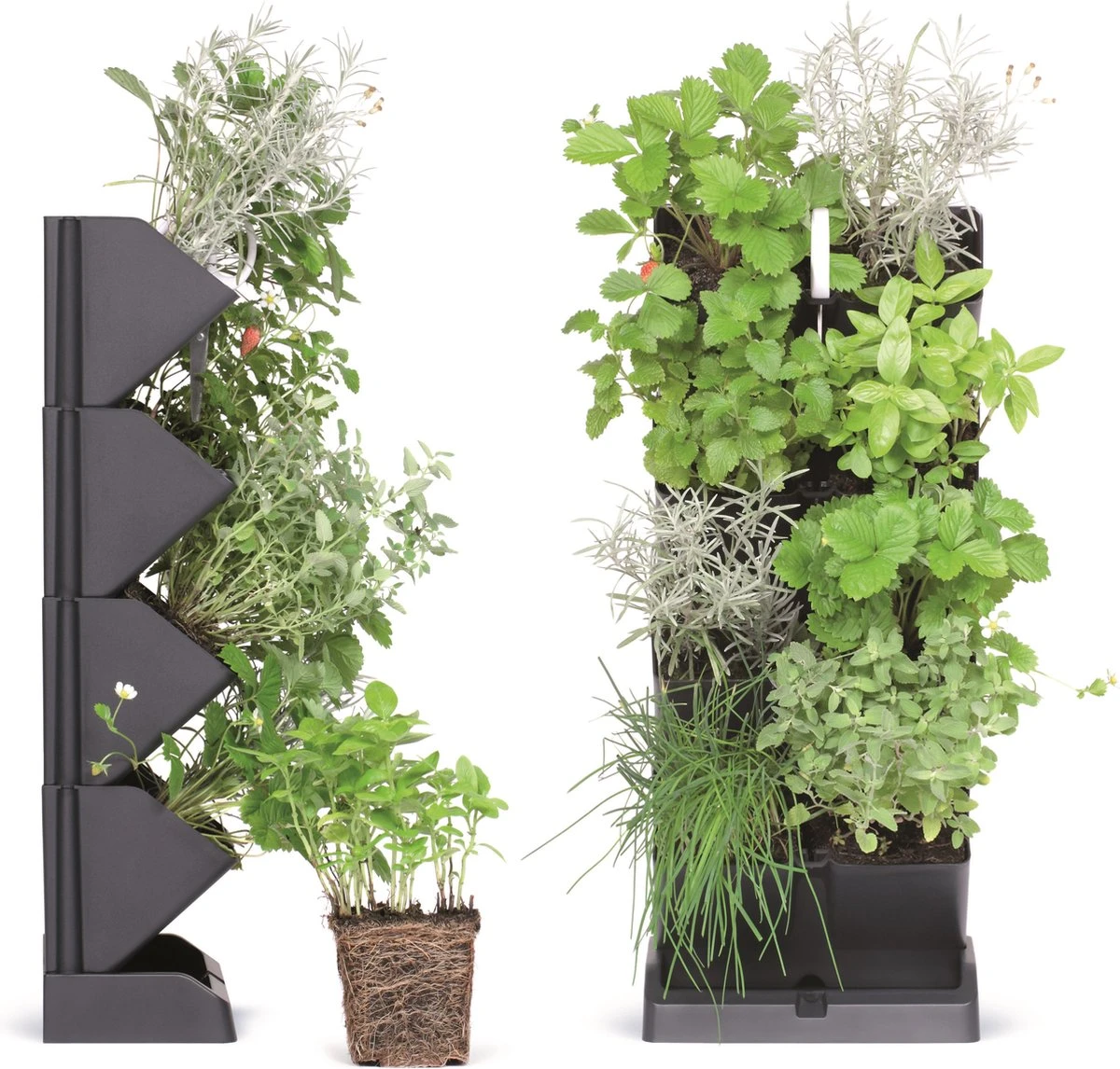 Prosperplast Verticale Kruidentuin Kunststof - Staand/hangend - Modulair - Antraciet Grijs - L 20 X B 11 X H 48 Cm - Incl. Kruidenschaar - Afbeelding 4