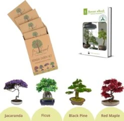 B-seed Zaden Set Incl. E-Book Bonsai Zaden Kweken - Boompje In Pot - Kamerplanten - Kweekset – Cadeau Man & Vrouw - Geschenkset