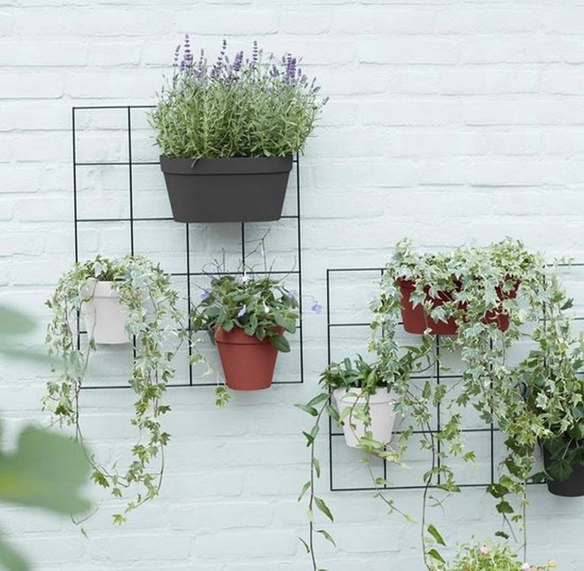 Elho Loft Urban Green Wall Rek 48 - Accessoires Voor Buiten - Ø 47.3 X H 59.0 Cm - Zwart/Living Black - Afbeelding 3