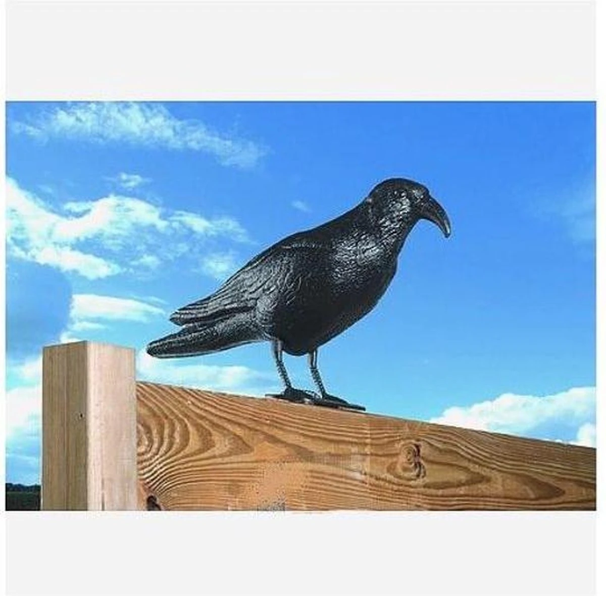 Orange85 Vogelverschrikker Vogelverjager Kraai 36,2 Cm Polyetheen - Afbeelding 8