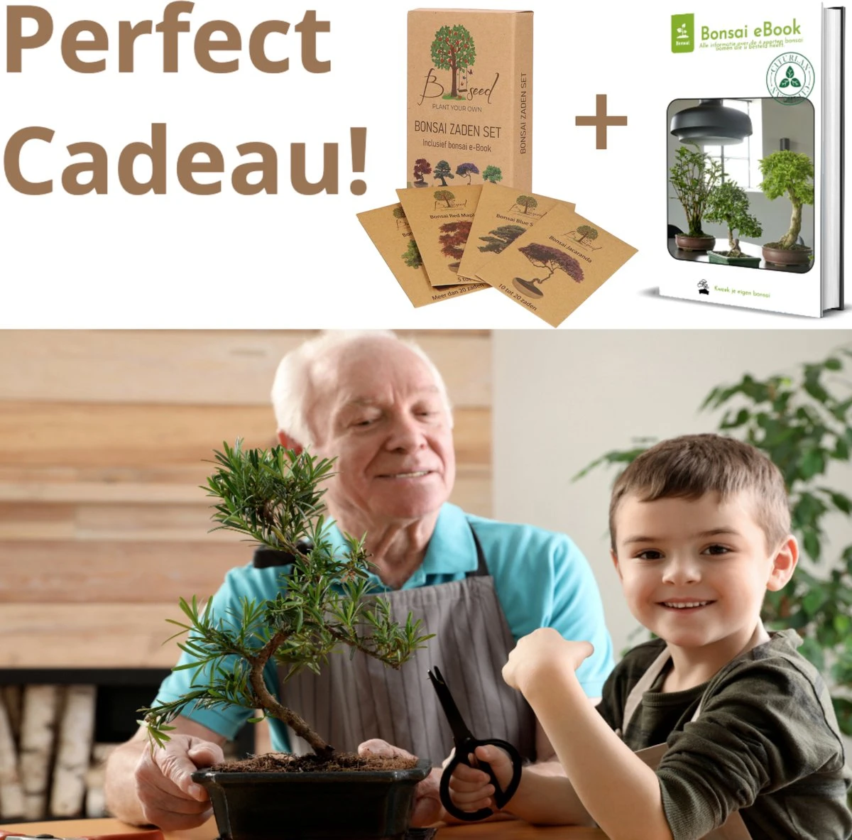 B-seed Zaden Set Incl. E-Book Bonsai Zaden Kweken - Boompje In Pot - Kamerplanten - Kweekset – Cadeau Man & Vrouw - Geschenkset - Afbeelding 7