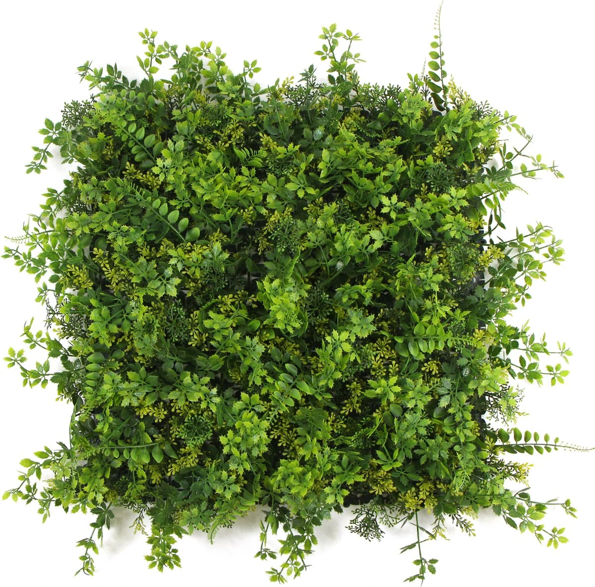 Bali | FOLY - 50 X 50 Cm - Green Wall Voor Decoratief Binnen En Buiten Gebruik - Tropische Kunsthaag - 5j UV Garantie - JIVANA