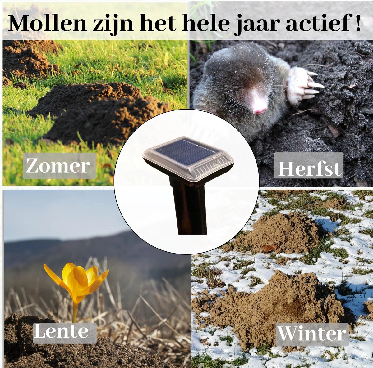 Sedeve Mollenverjager Op Zonne Energie –Mollenverjager – Muizenverjager – Ultrasone-verjager – Bereik Van 150 M2 - Set Van 2 Stuks - Afbeelding 5