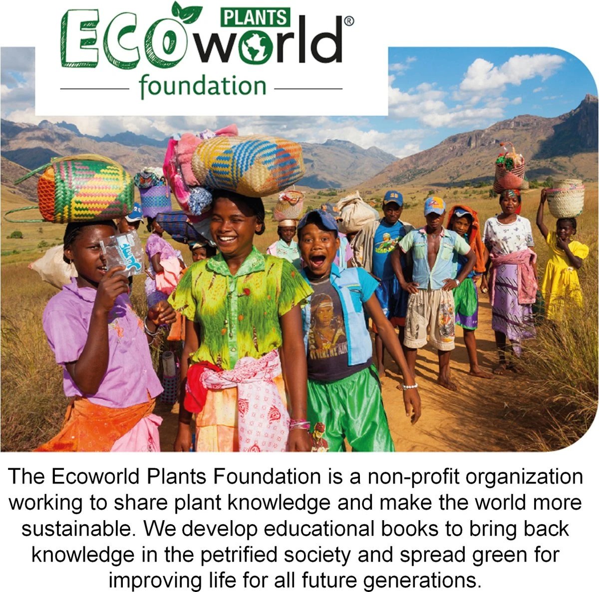 Ecoworld Mini Cactussen - 5 Stuks - Ø 6 Cm - Hoogte 8-15 Cm - Afbeelding 4