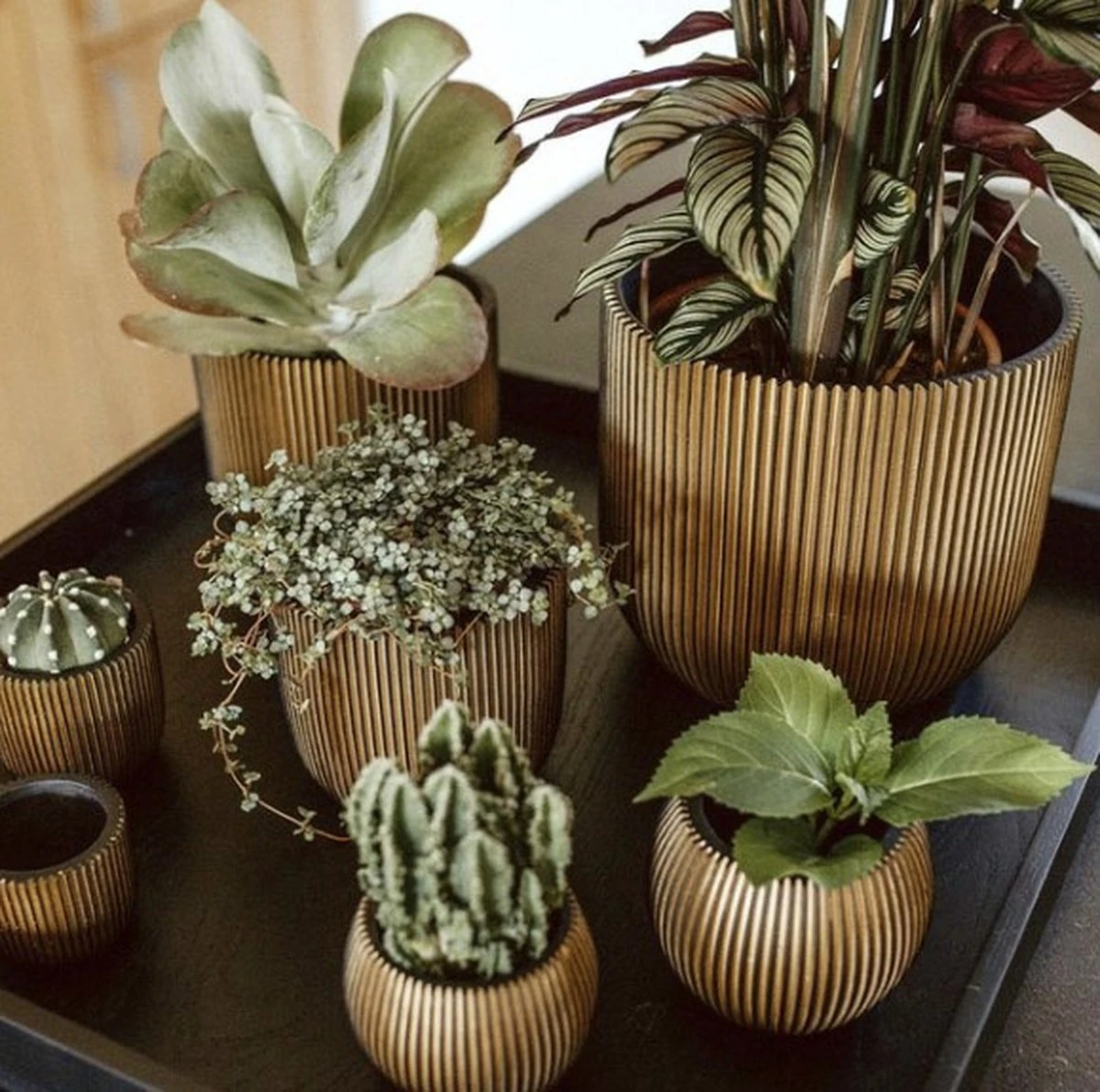 Capi Europe - Bloempot Bol Groove - 23x21 - Goud - Bloempot Voor Binnen - BGVGB134 - Afbeelding 4