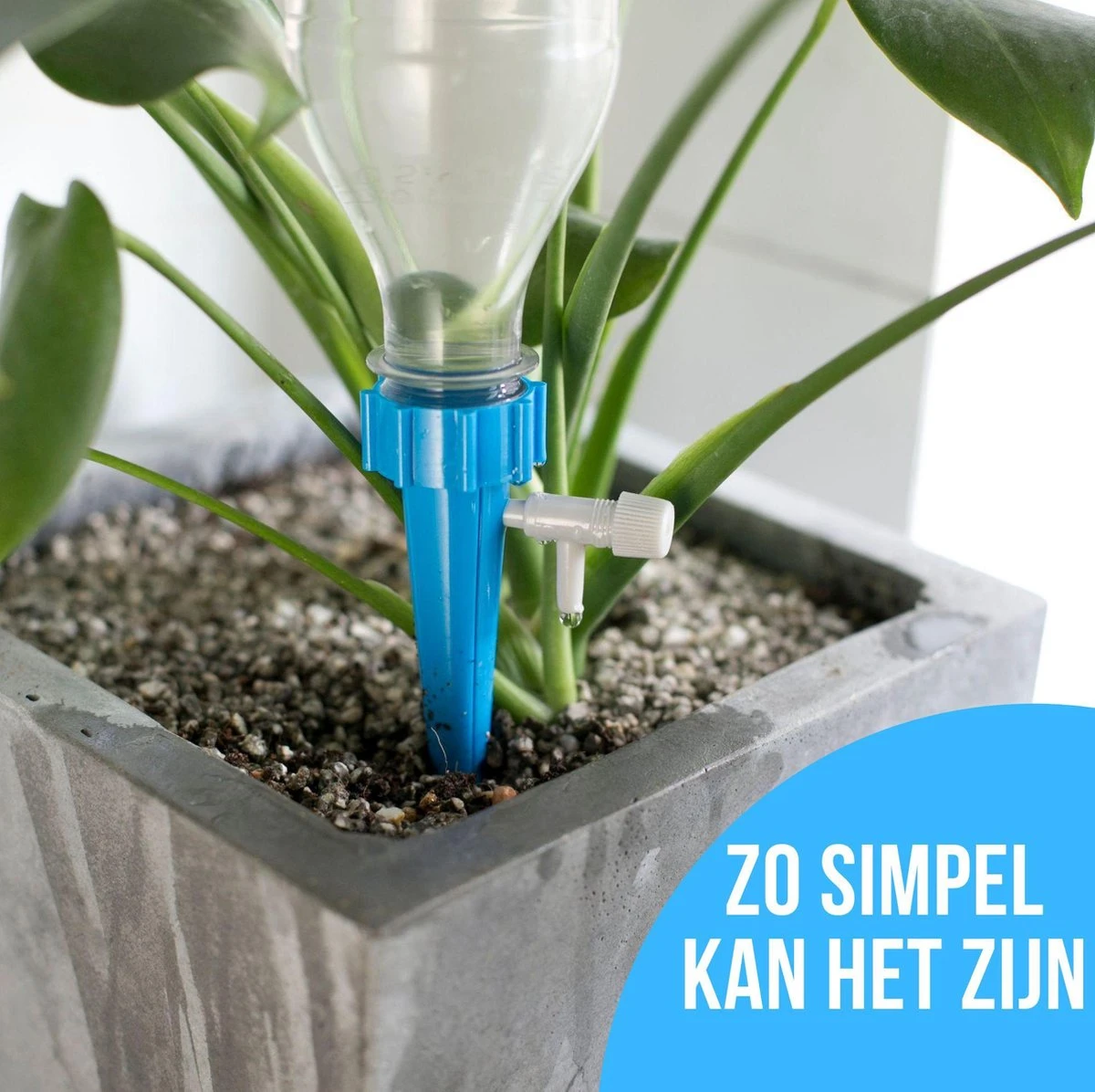 12 Stuks Plant Bewateringssysteem | Waterdruppelaar | Druppelsysteem |Bewateringssysteem | Bewateringsyteem Watergeefsysteem | Plantenbol | Automatische Gieter | Water Druppelaar | Druppel Systeem | Water Geef Systeem | Plantenbol | - Afbeelding 12