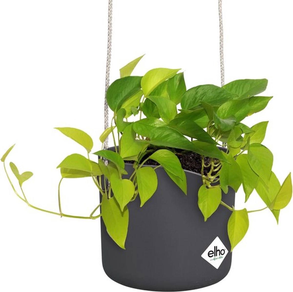 Elho B.for Swing 18 Hangpot - Bloempot Voor Binnen - Ø 18.0 X H 16.5 Cm - Zwart/Antraciet - Afbeelding 9