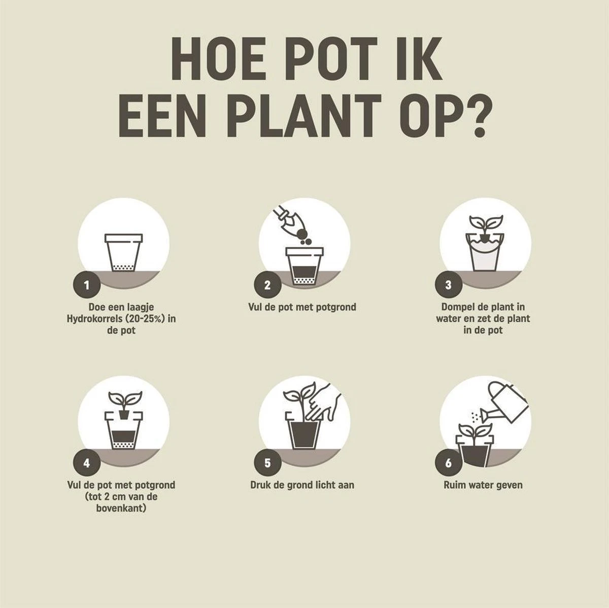 Pokon Kamerplanten Potgrond - 20l - Potgrond (kamerplant) - 6 Maanden Voeding - Afbeelding 4