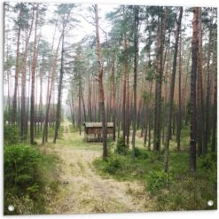 WallClassics - Tuinposter – Houten Huisje Langs Het Pad In Het Bos - 80x80 Cm Foto Op Tuinposter (wanddecoratie Voor Buiten En Binnen)