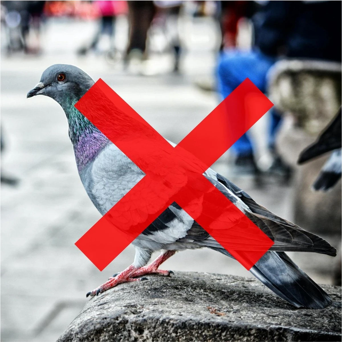 Merkloos 3 X Duivenverjager Kraai - Vogelverschrikker - Vogelverjager - Kunststof Kraaien - Afbeelding 6